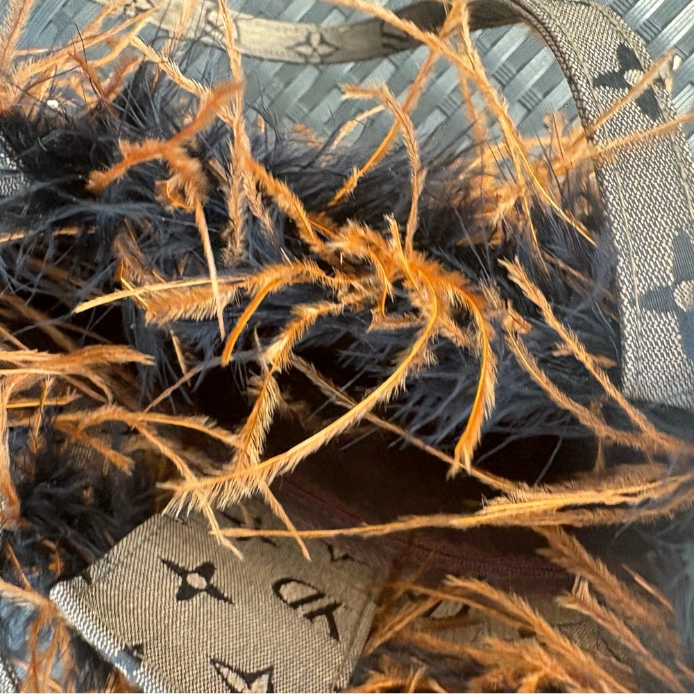 Brown and Black Feathered Bag - Picture 1 of 6